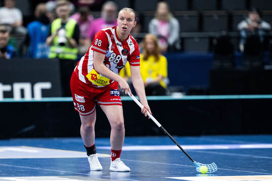 Pixbos Ellen Lundin