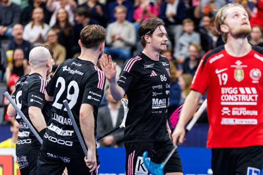 Faluns Emil Ruud jublar