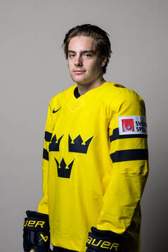 Leo Carlsson of Sweden poses for a portrait
