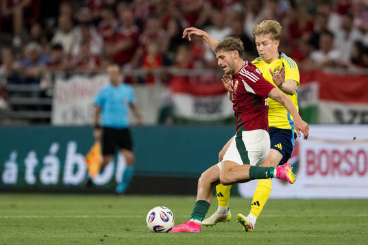Marton Dardai of Hungary and Daniel Svensson of Sweden
