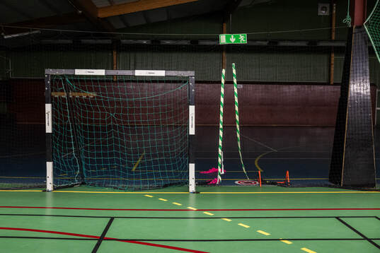 Ett handbollsmål i Rosendalshallens B-hall