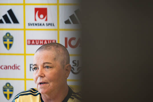 Head of delegation Marika Domanski Lyfors of the Swedish