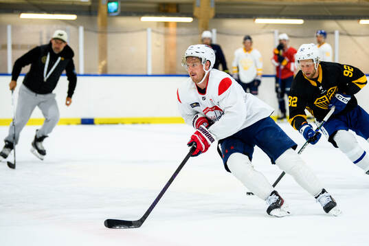 Washington Capitals Rasmus Sandin