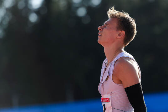 Elias Kapell, Hammarby IF