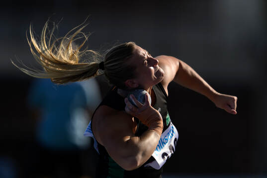 Fanny Roos, Malmö AI