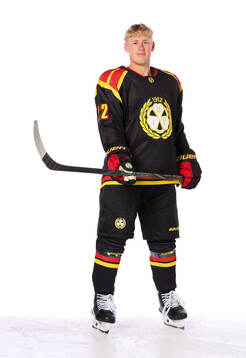 Brynäs Leo Sundqvist