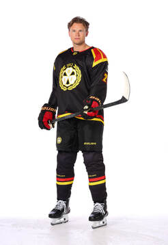 Brynäs Mattias Norlinder