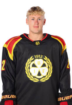 Brynäs Leo Sundqvist