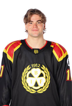 Brynäs Michal Svrcek