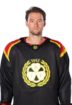 Brynäs Christian Djoos