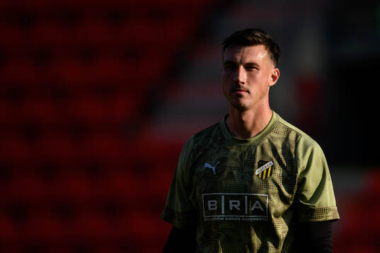 Goalkeeper Andreas Linde