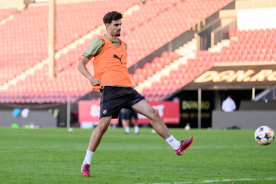 Nikola Mitrovic