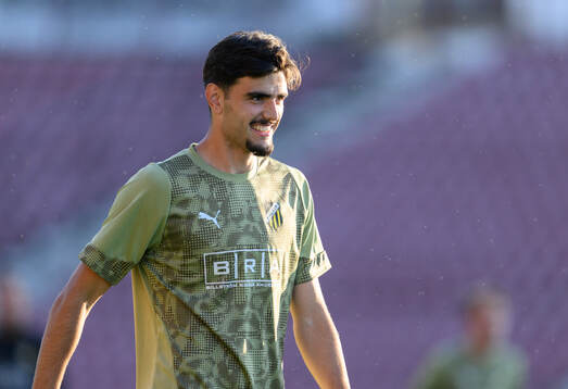 Nikola Mitrovic