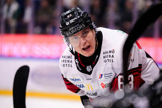 Malmö Redhawks Fredrik Händemark