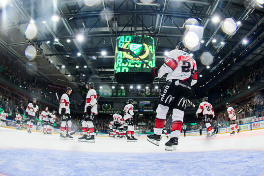 Malmö Redhawks spelare deppar