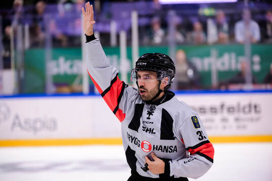 Domare Mattias Enroth