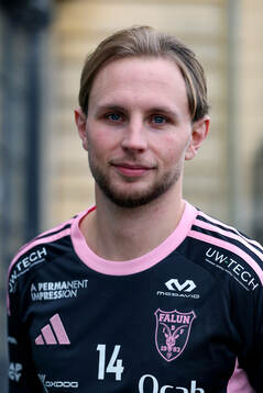 Malte Lundmark, IBF Falun