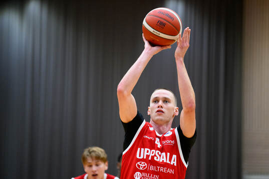 Uppsalas Peter Stumer