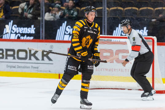 Skellefteås Pontus Johansson deppar