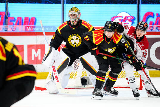 Brynäs målvakt Damian Clara