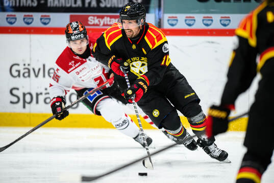 Brynäs Anton Rödin