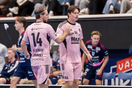 Faluns Emil Ruud jublar