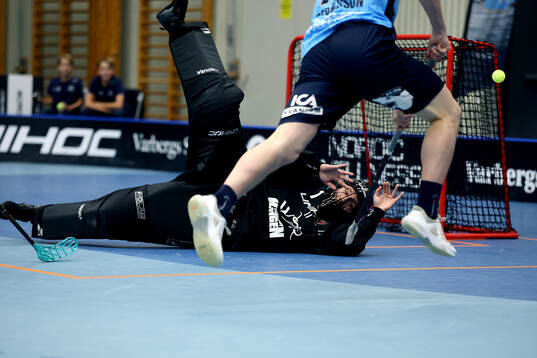 Pixbos målvakt Jon Hedlund