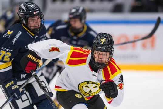 Brynäs Anna Andersson