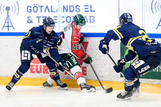 HV71s Aleksi Heponiemi och Frölundas Dominik Egli