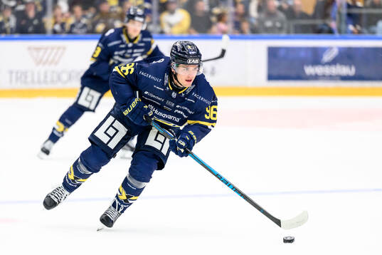 HV71s Nikola Pasic