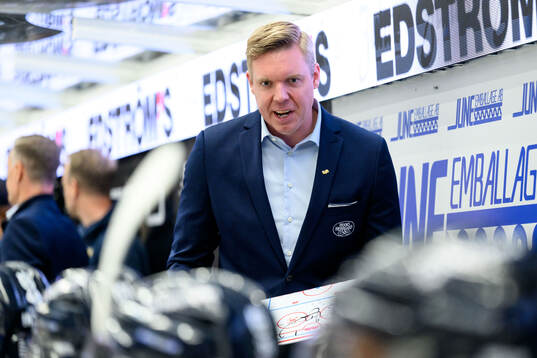 HV71s tränare Anton Blomqvist