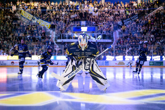 HV71s målvakt Frederik Dichow