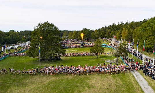 Starten på  Lidingöloppet 30 km