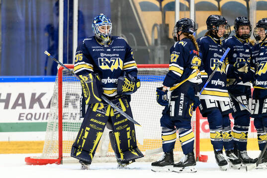 HV71s målvakt Stephanie Neatby