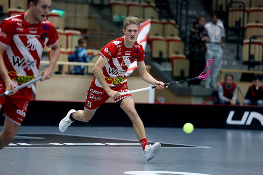 Pixbos Arvid Äse