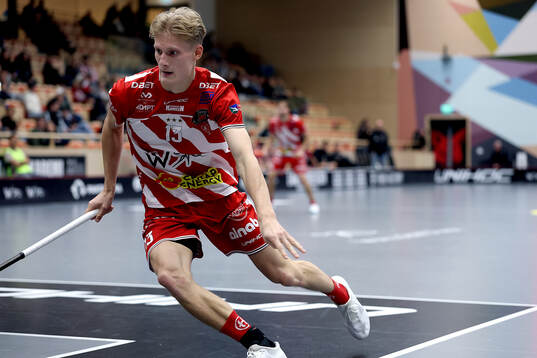 Pixbos Arvid Äse