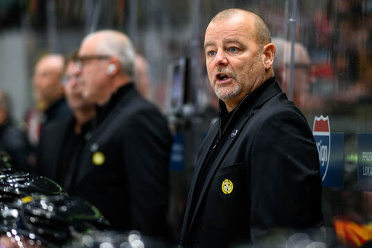 Brynäs tränare Niklas Gällstedt