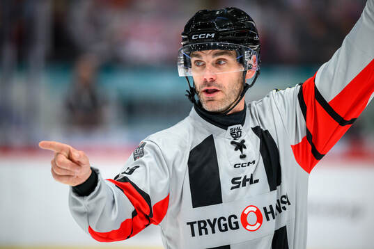 Domare Richard Magnusson