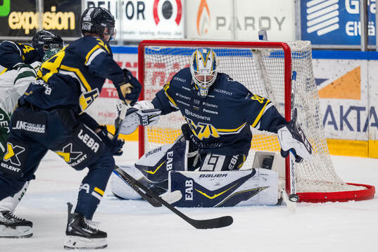 HV71s målvakt Frederik Dichow