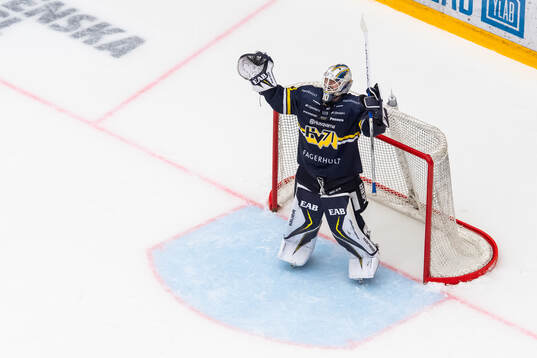 HV71s målvakt Frederik Dichow jublar