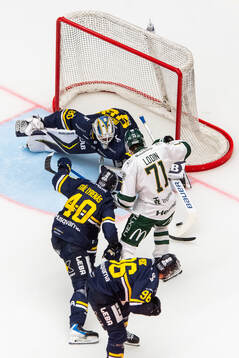 HV71s målvakt Frederik Dichow