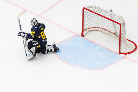 HV71s målvakt Frederik Dichow jublar
