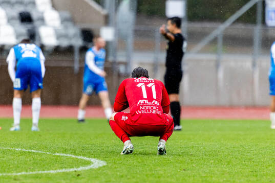 Utsiktens Robin Book deppar