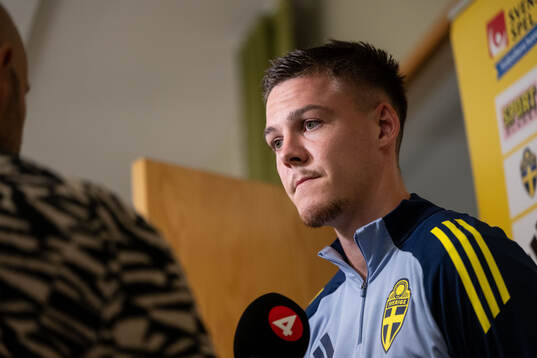 Emil Holm of the Swedish national football team in mixed