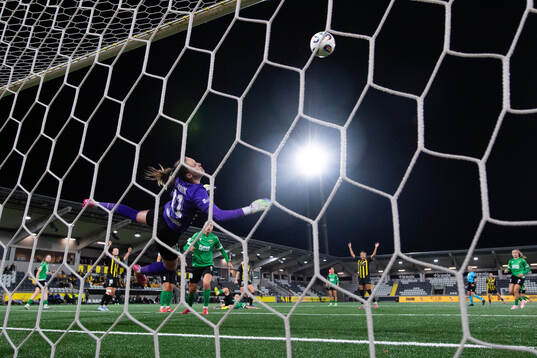 Goalkeeper Kinga Seweryn of Katowice