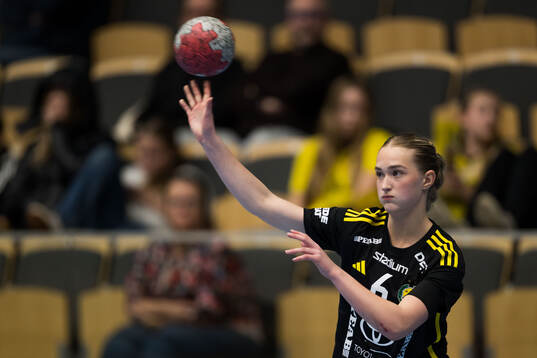 Sävehofs Nova Huselius