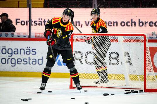 Brynäs Victor Raftheim Hedin
