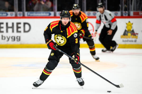 Brynäs Christian Djoos