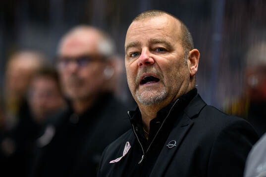 Brynäs tränare Niklas Gällstedt