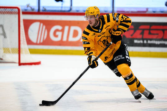 Skellefteås Jonathan Pudas